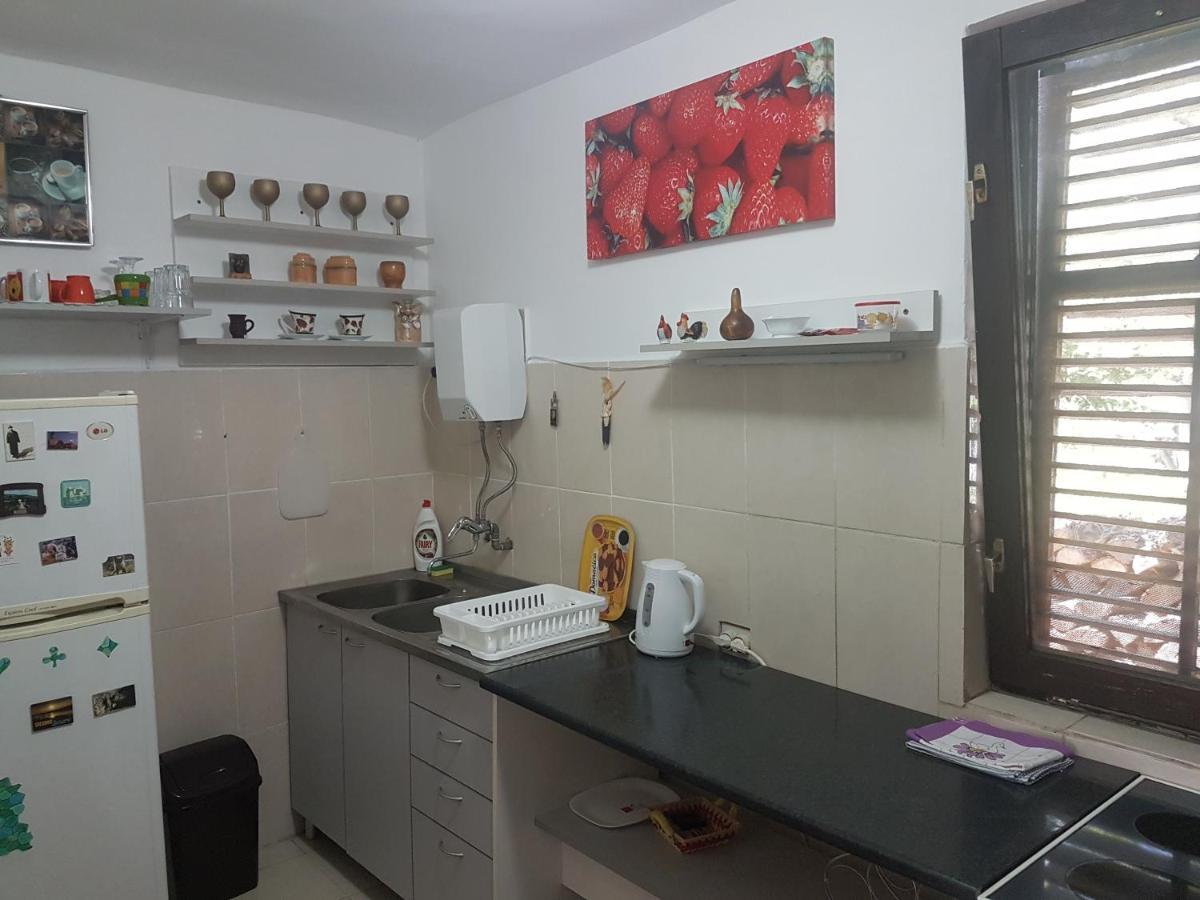 Przic House Apartment Negotin Exterior foto
