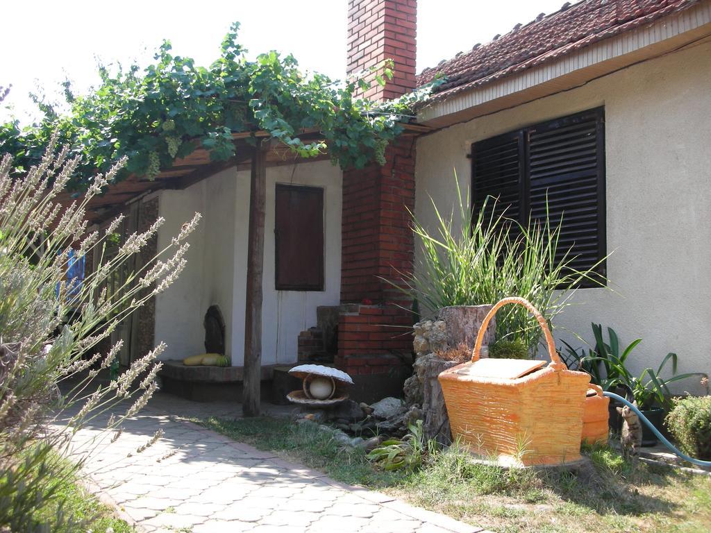 Przic House Apartment Negotin Exterior foto